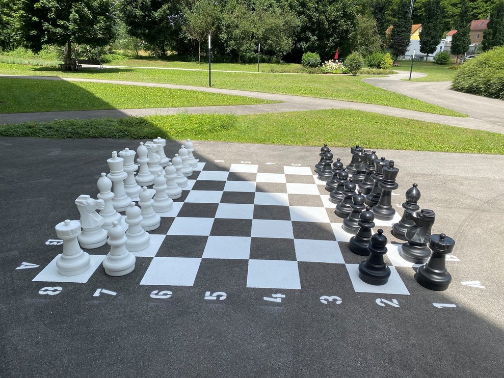 Das Schachspiel ist unvergleichlich, eine königliches, ein kaiserliches Spiel.