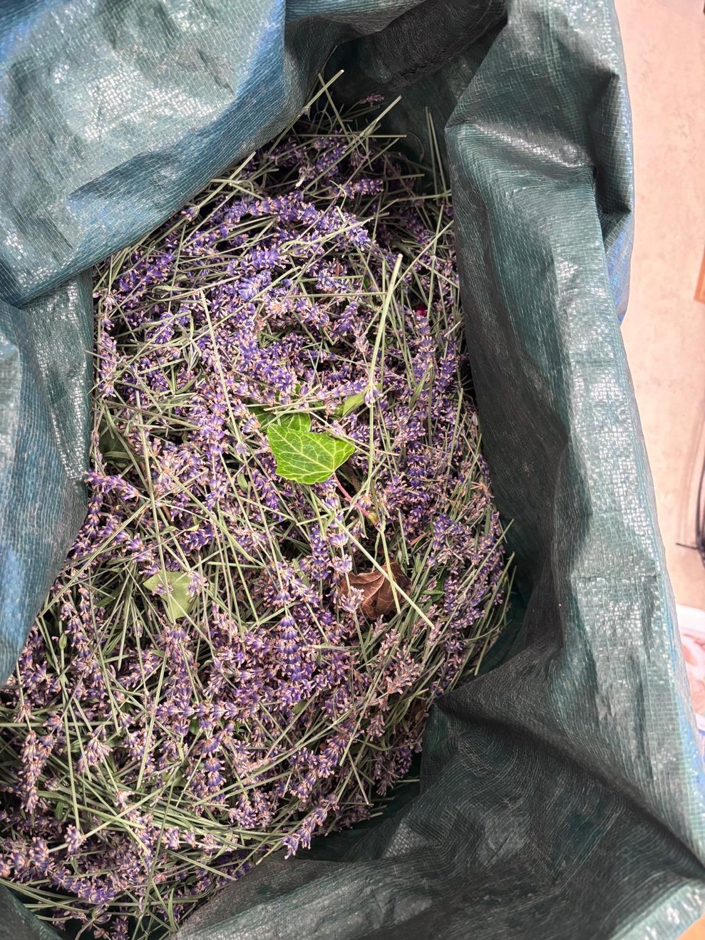 Lavendelblüten im Sack.