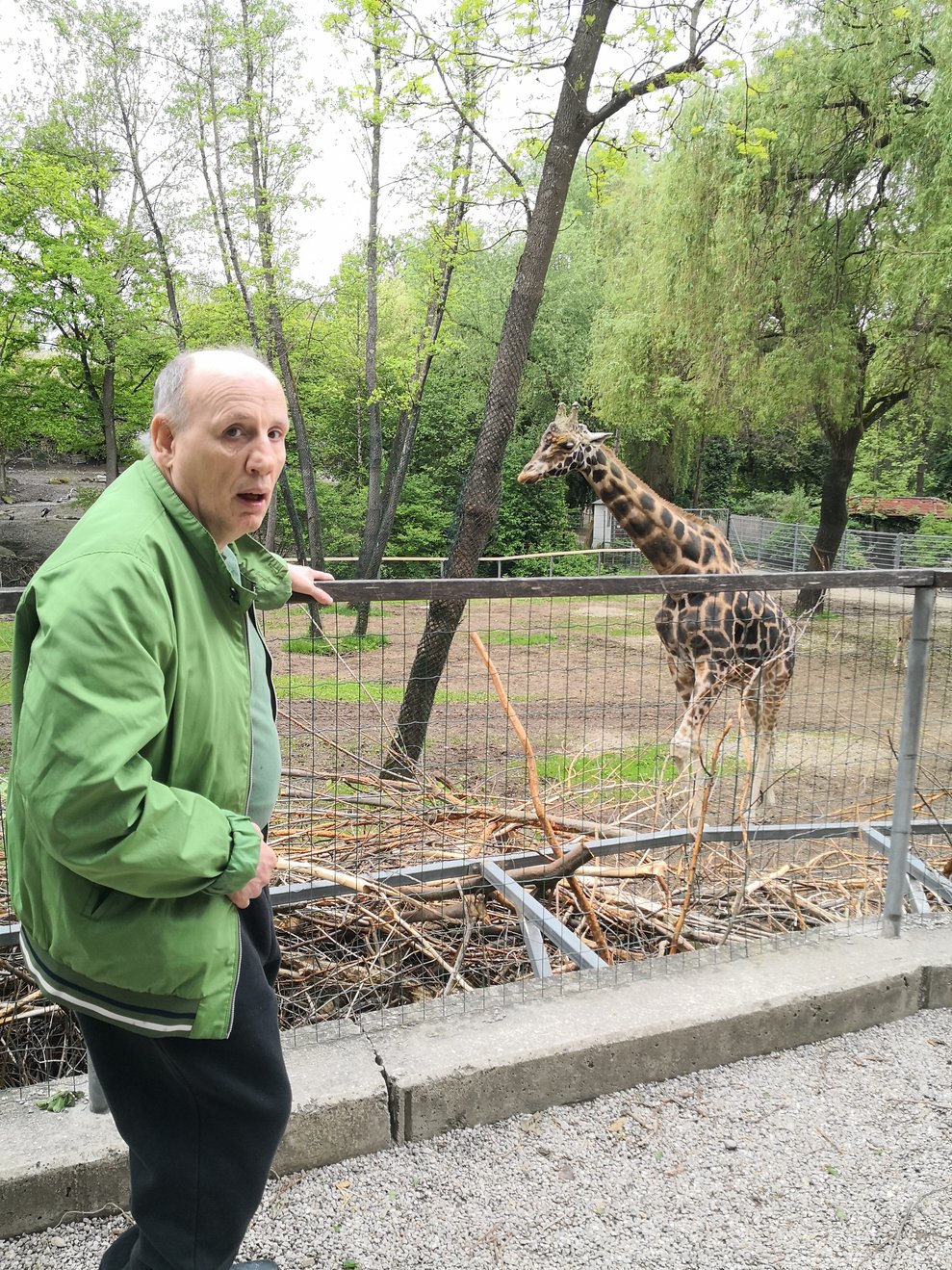 Bewohner und Giraffe