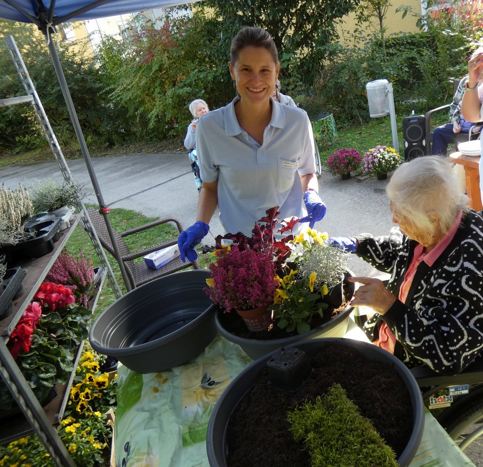 Blumen pflanzen