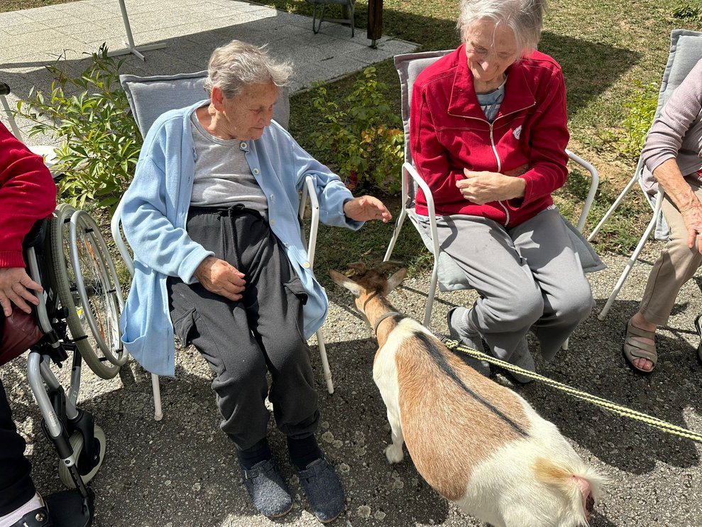 Sitzende Bewohnerinnen mit Ziege. Ziege an der Leine.