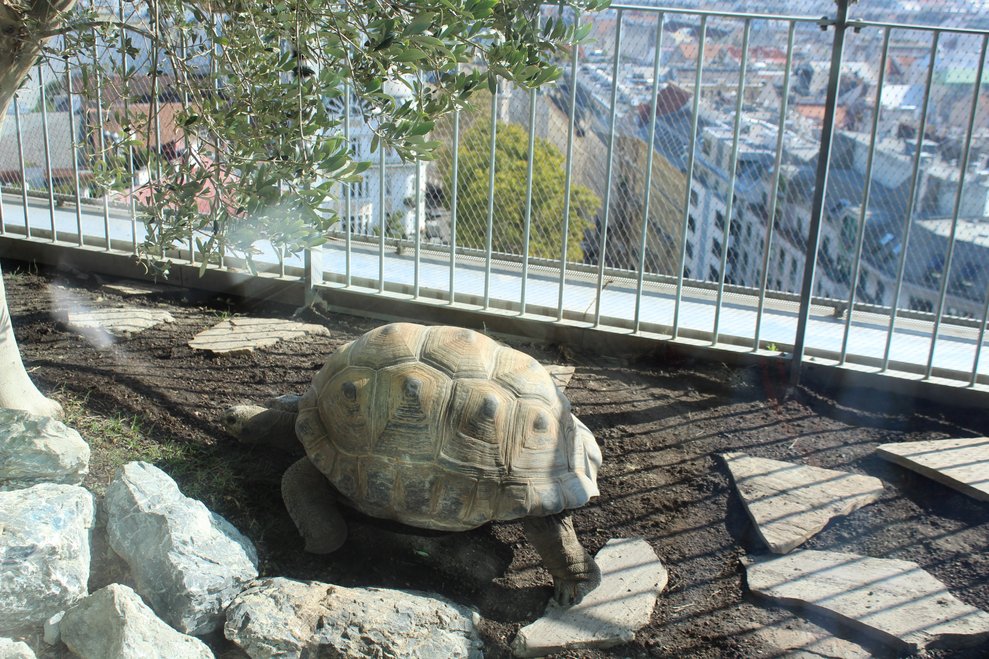 wurden besucht.