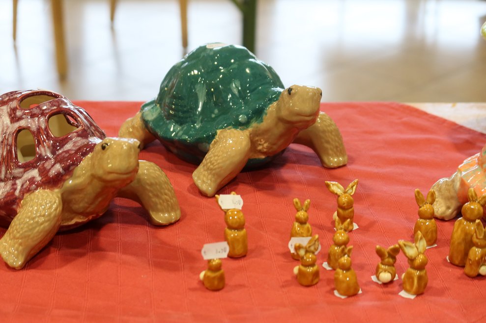 Schildkröte