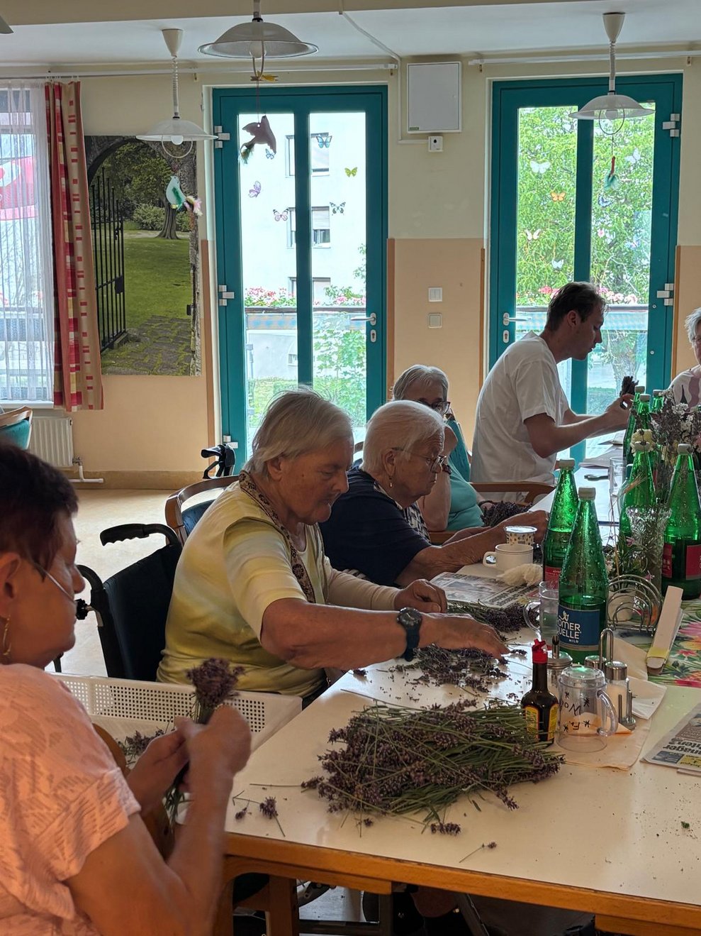 Bewohnerinnen und Mann (Aushilfskraft) beim Abrebeln von Lavendel.