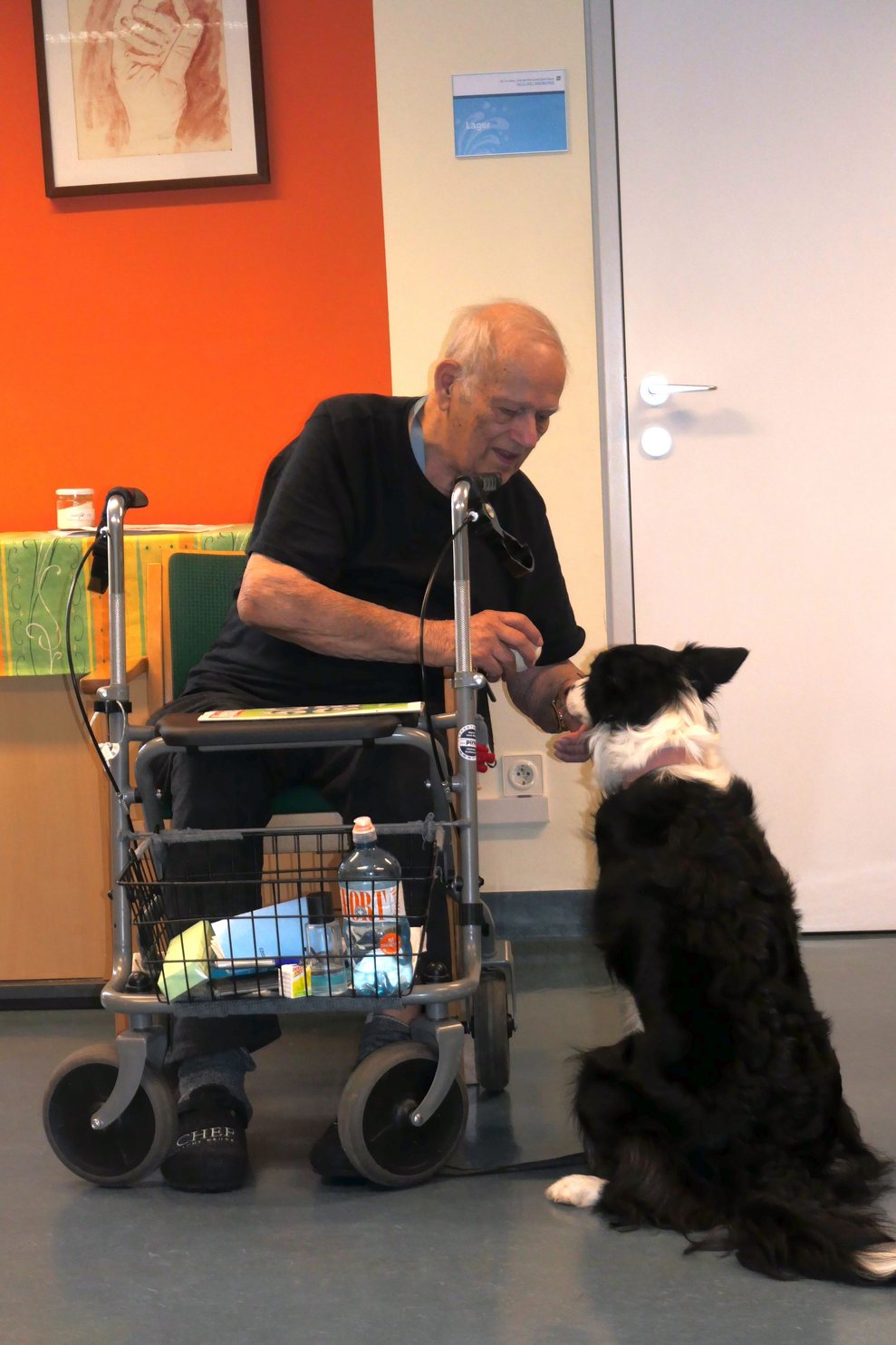 Ein Mann mit Rollator und Hund.