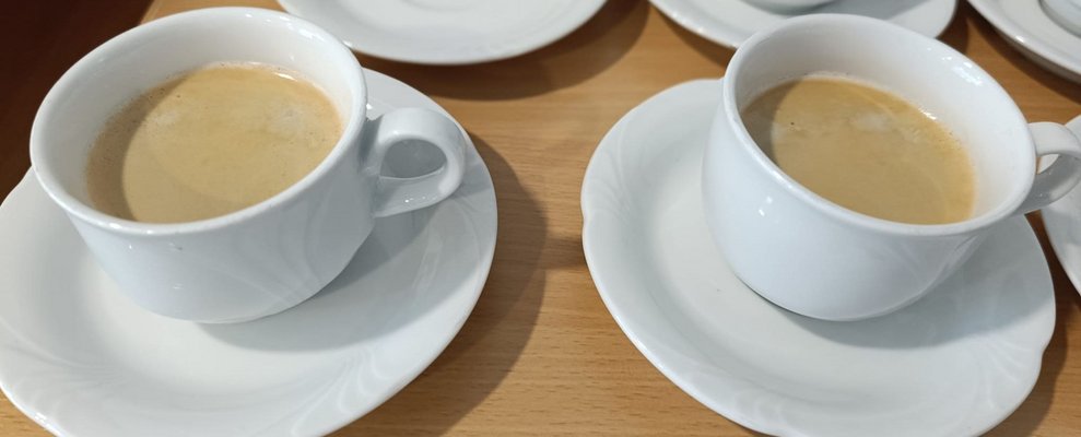 Zwei Häferl mit Kaffee stehen auf kleinen Teller.