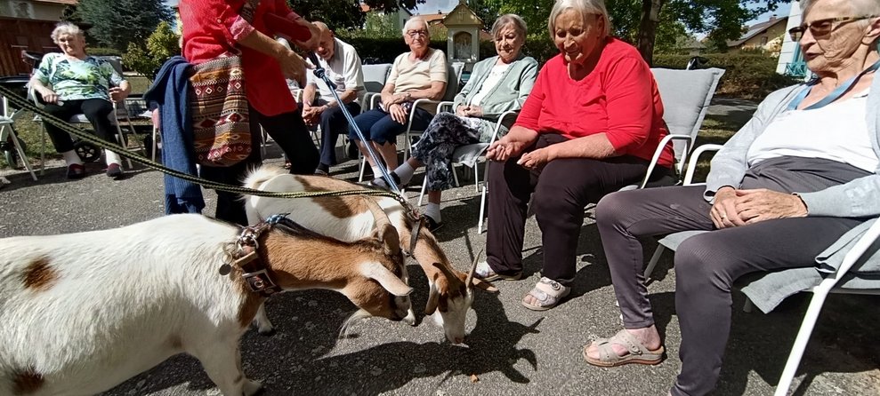 Sitzende BewohnerInnen. Zwei Ziegen an der Leine.