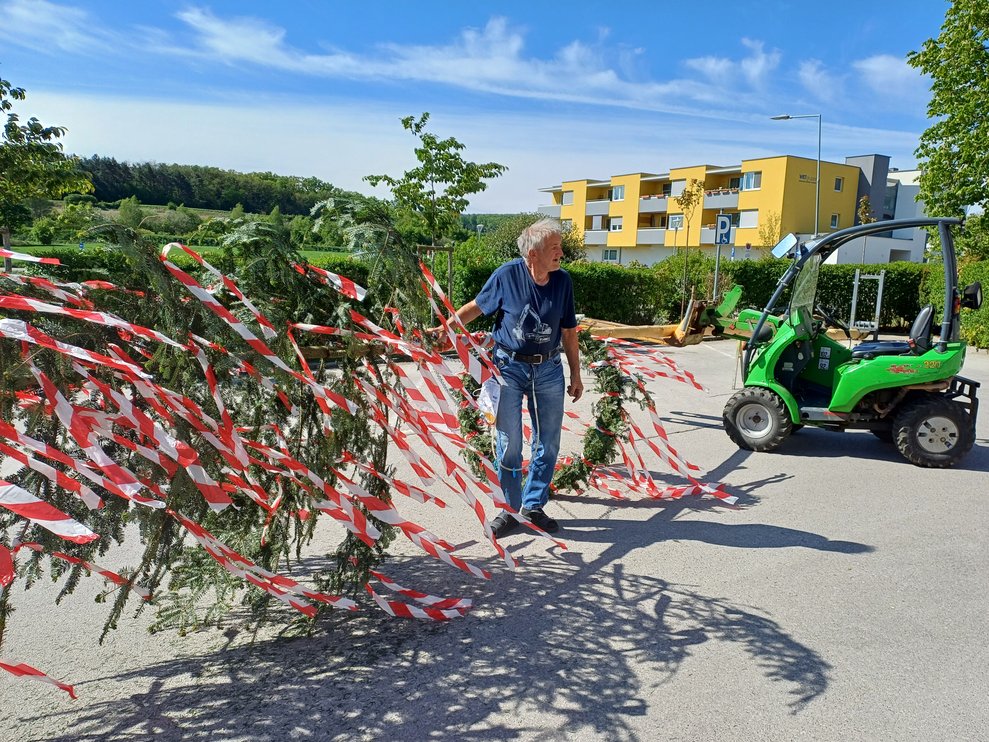liegender Maibaum