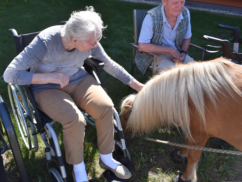 Ponybesuch