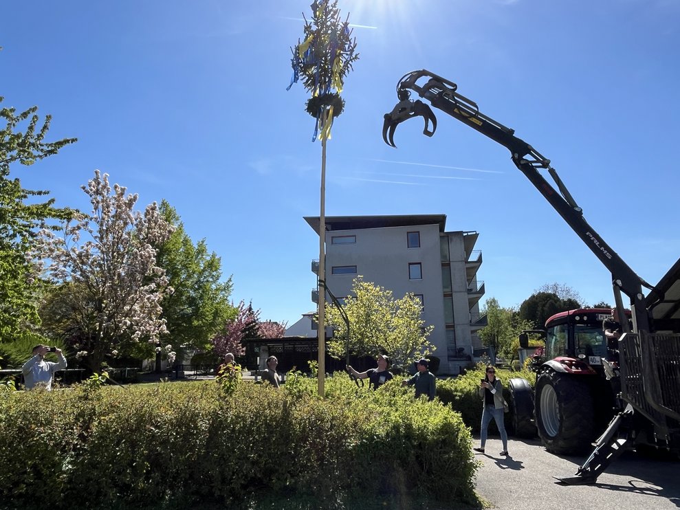 Der Maibaum wird mit einem Kranwagen aufgerichtet.