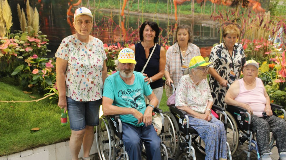 Auf der Gartenbaumesse Tulln 2024