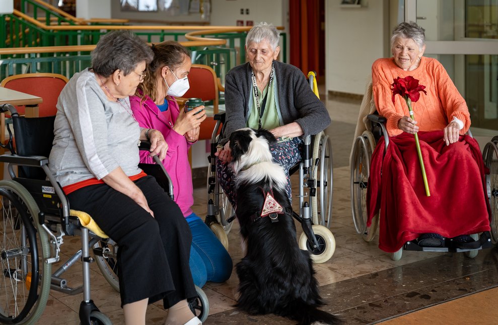 BewohnerInnen geben dem Hund Leckerlis.