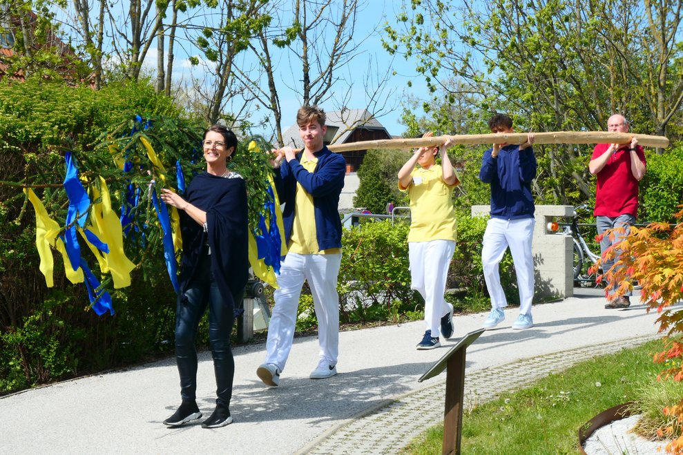 Vier Personen tragen den Baum.
