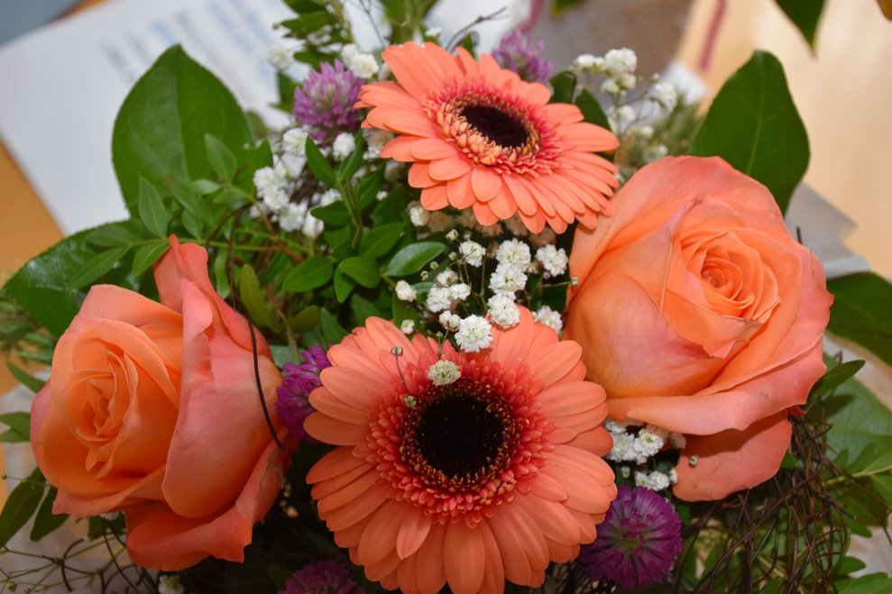 Blumen