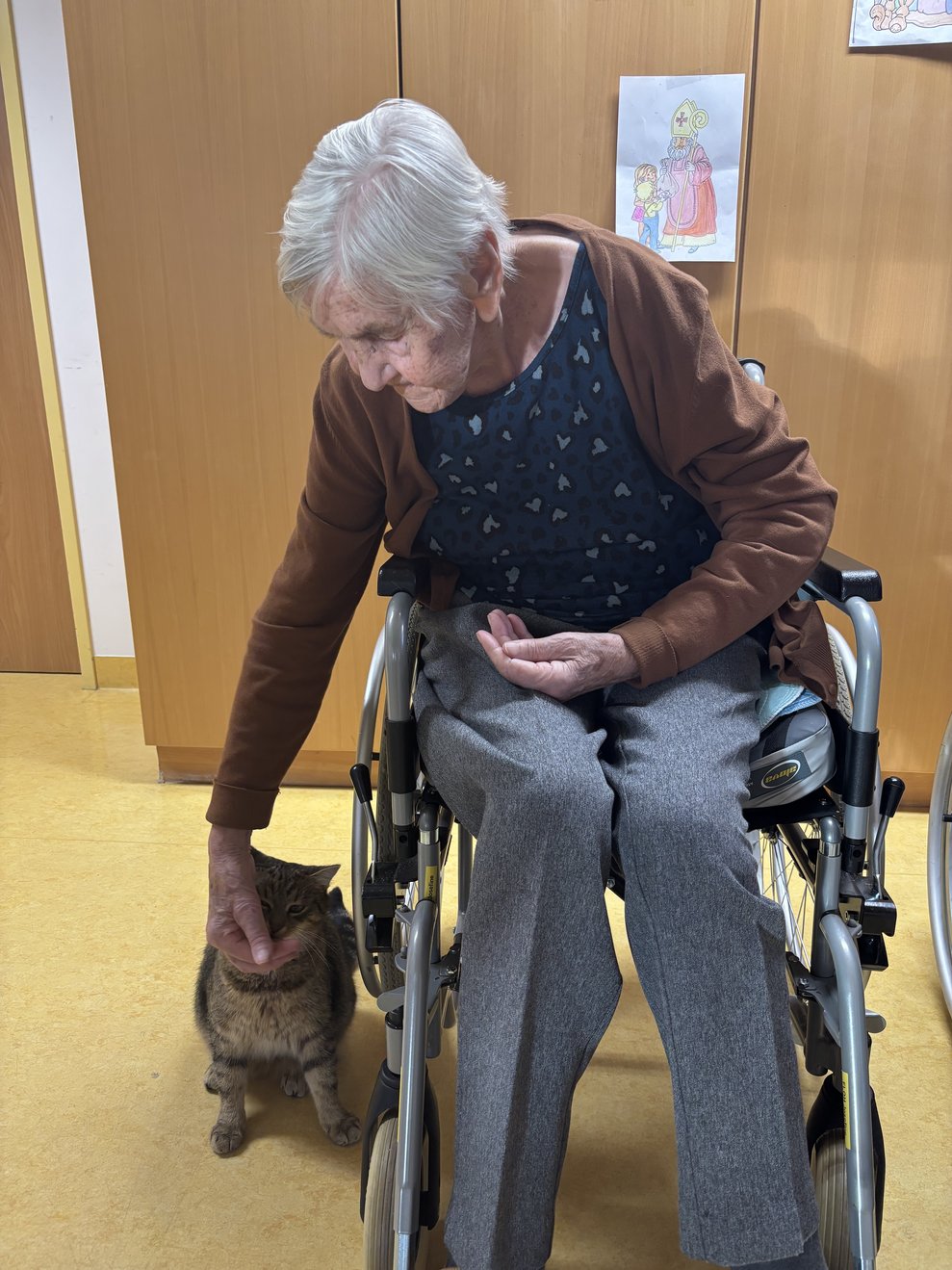 ein besonders tierischer Nachmittag