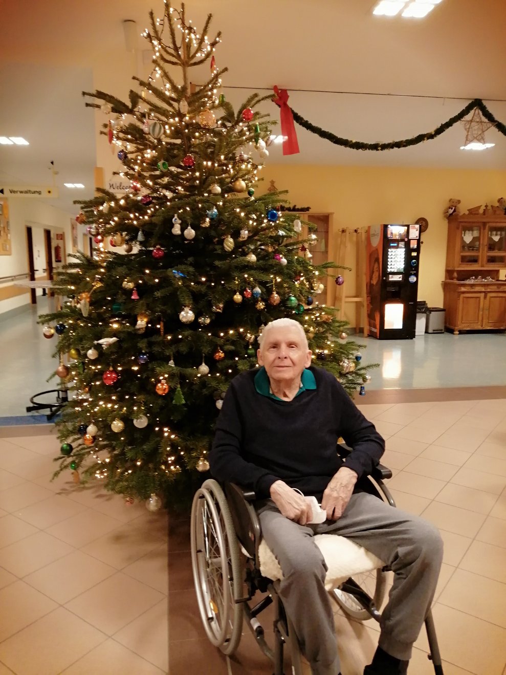 Christbäume schmücken