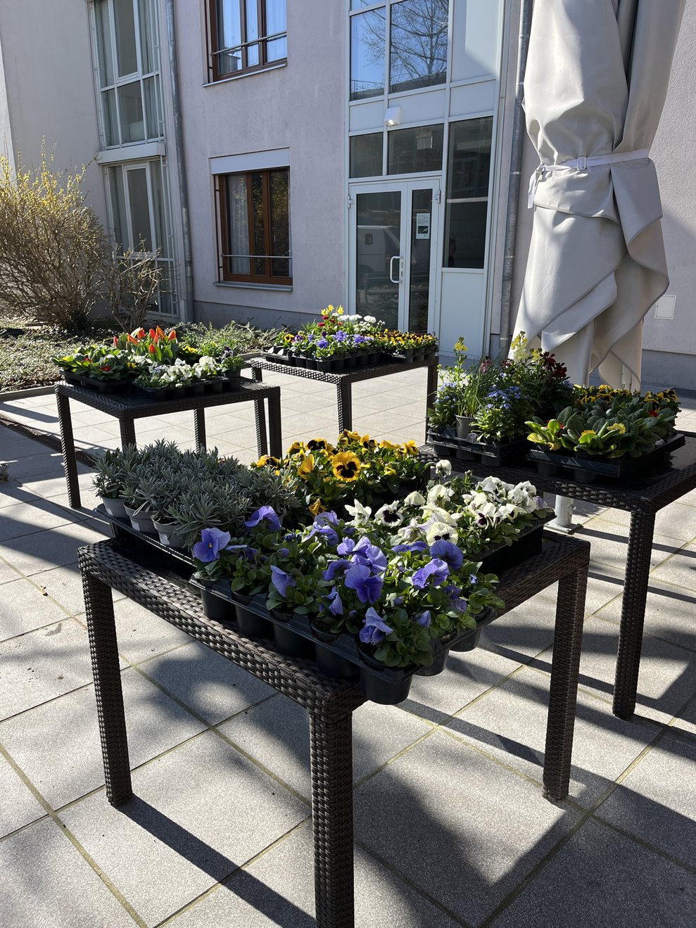 Blumen