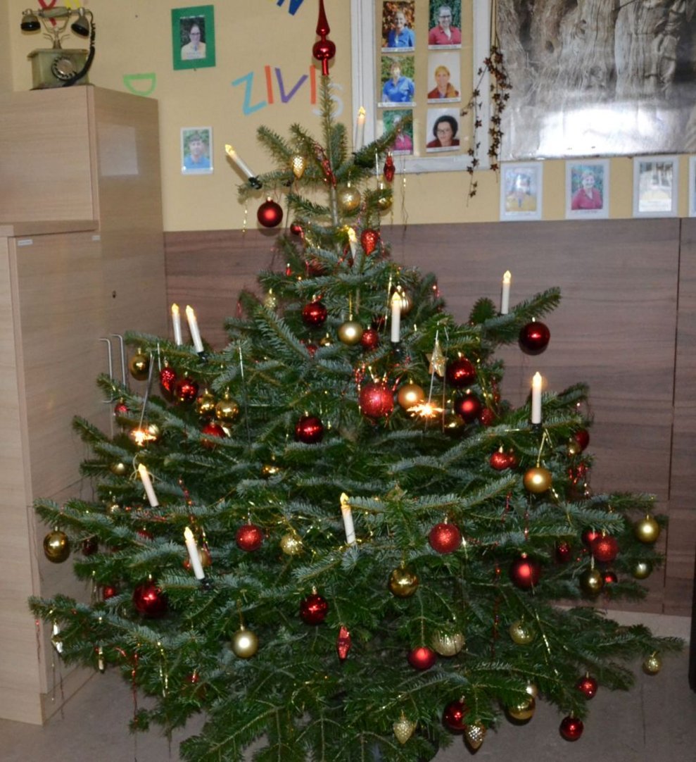 Ein geschmückter Weihnachtsbaum.
