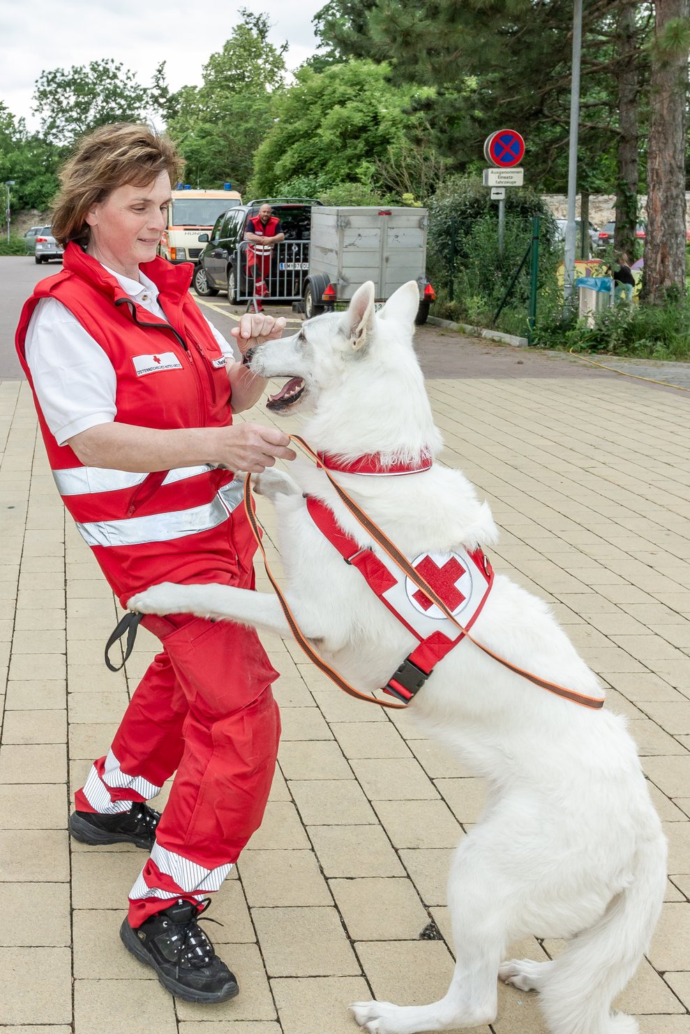 Jubiläum 14 