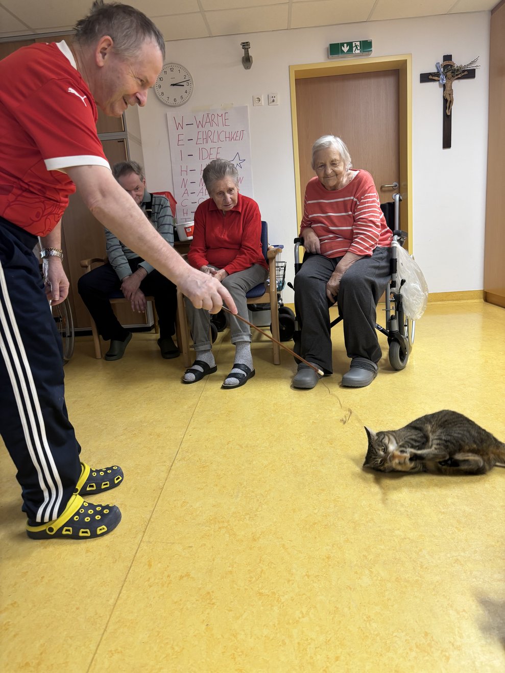 Kater Cocco liebt die Spiele