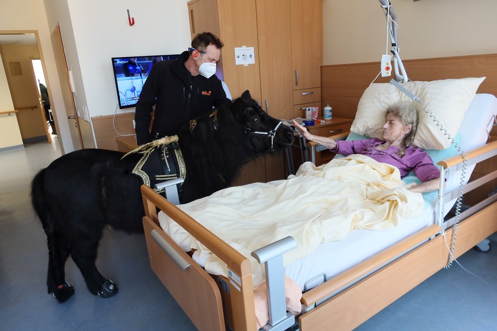 Besuch im Hospiz