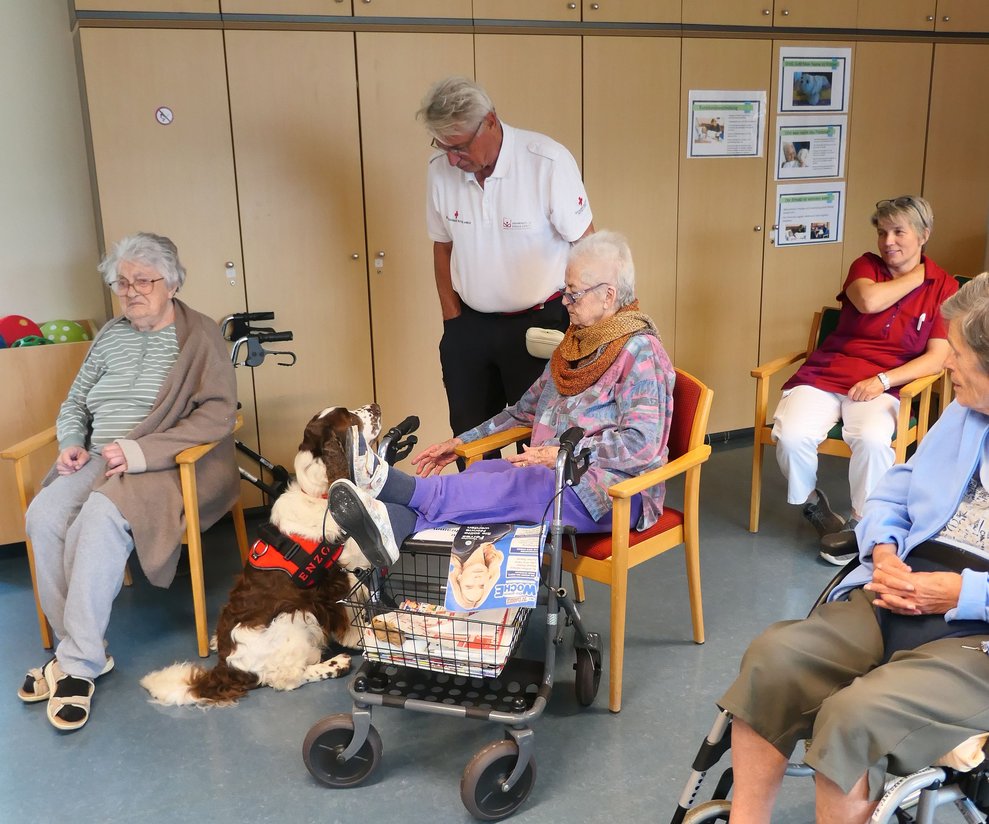Therapiehund sitzt bei Bewohnerin