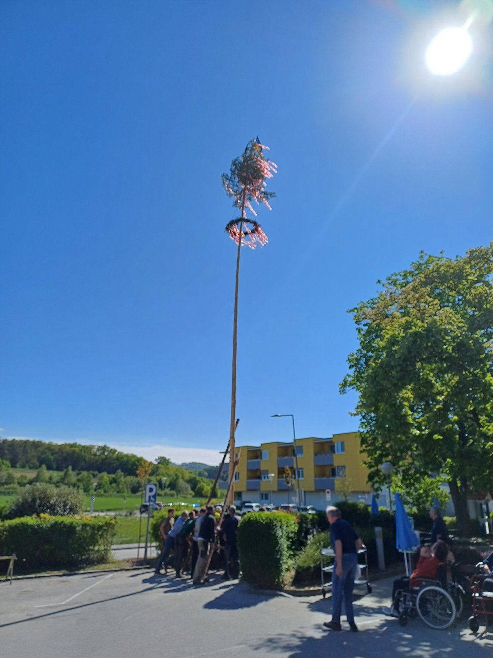 stehende Maibaum