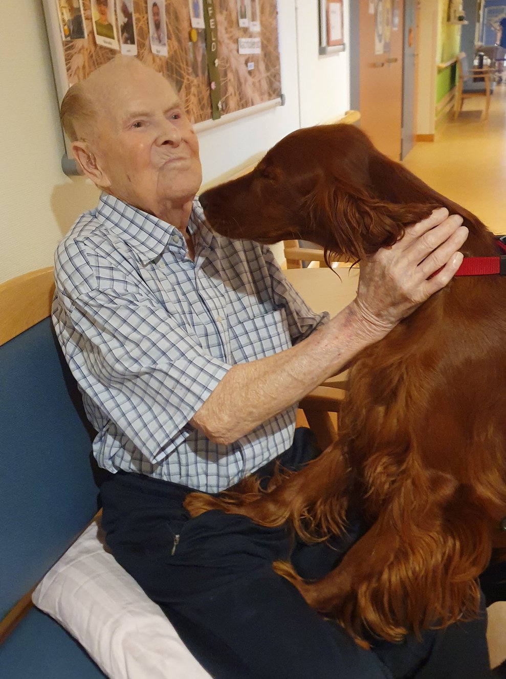 Bewohner mit Hund