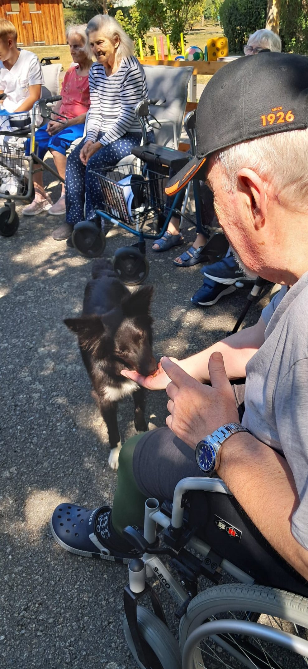 Bewohner gibt stehenden Hund mit Hand ein Leckerli.