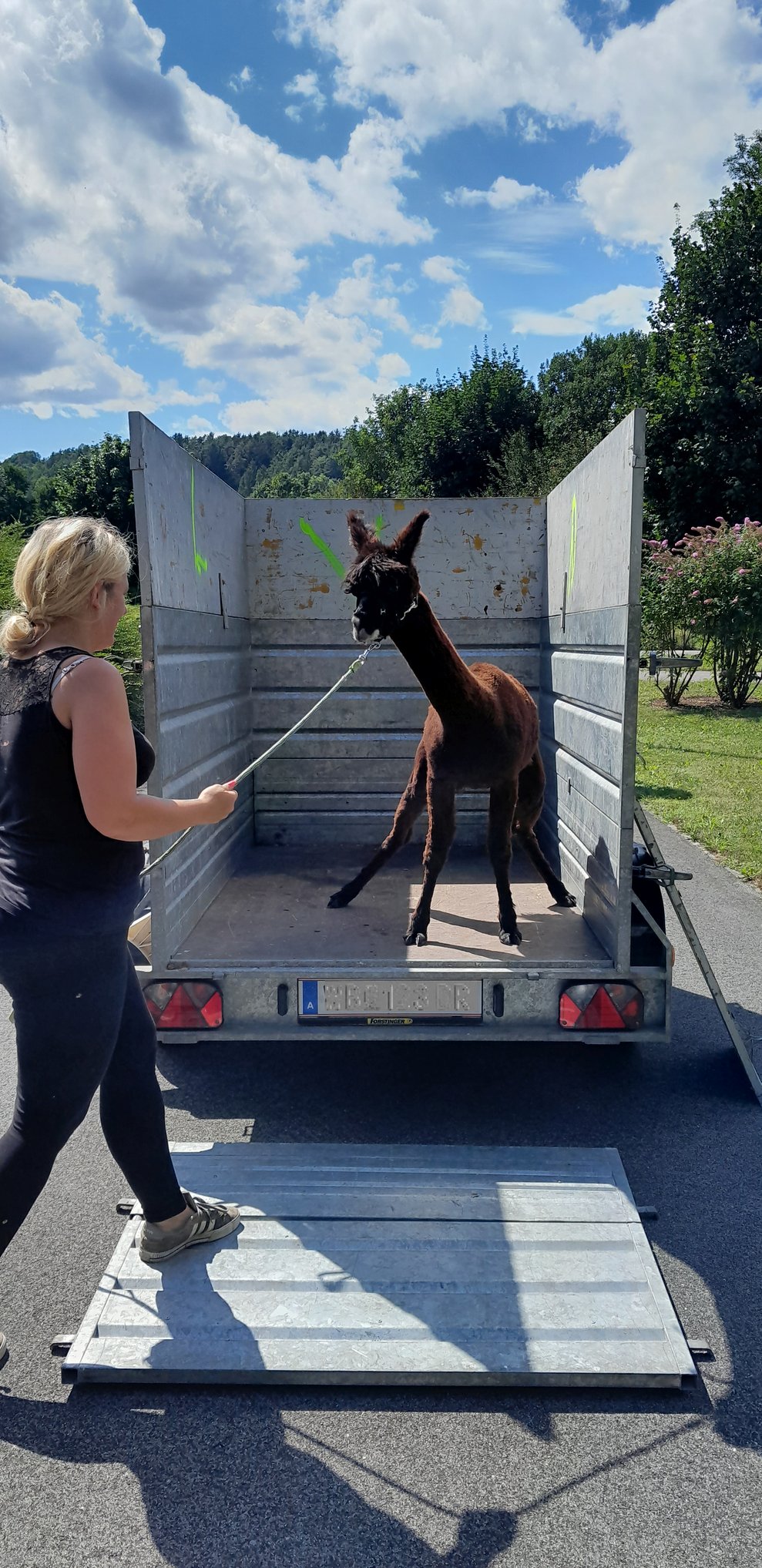 Auch Tiere haben ihren eigenen Willen.