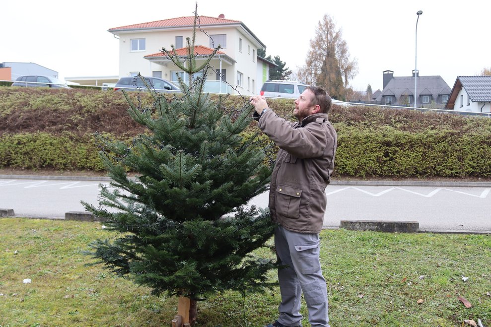 Weihnachtsbaum