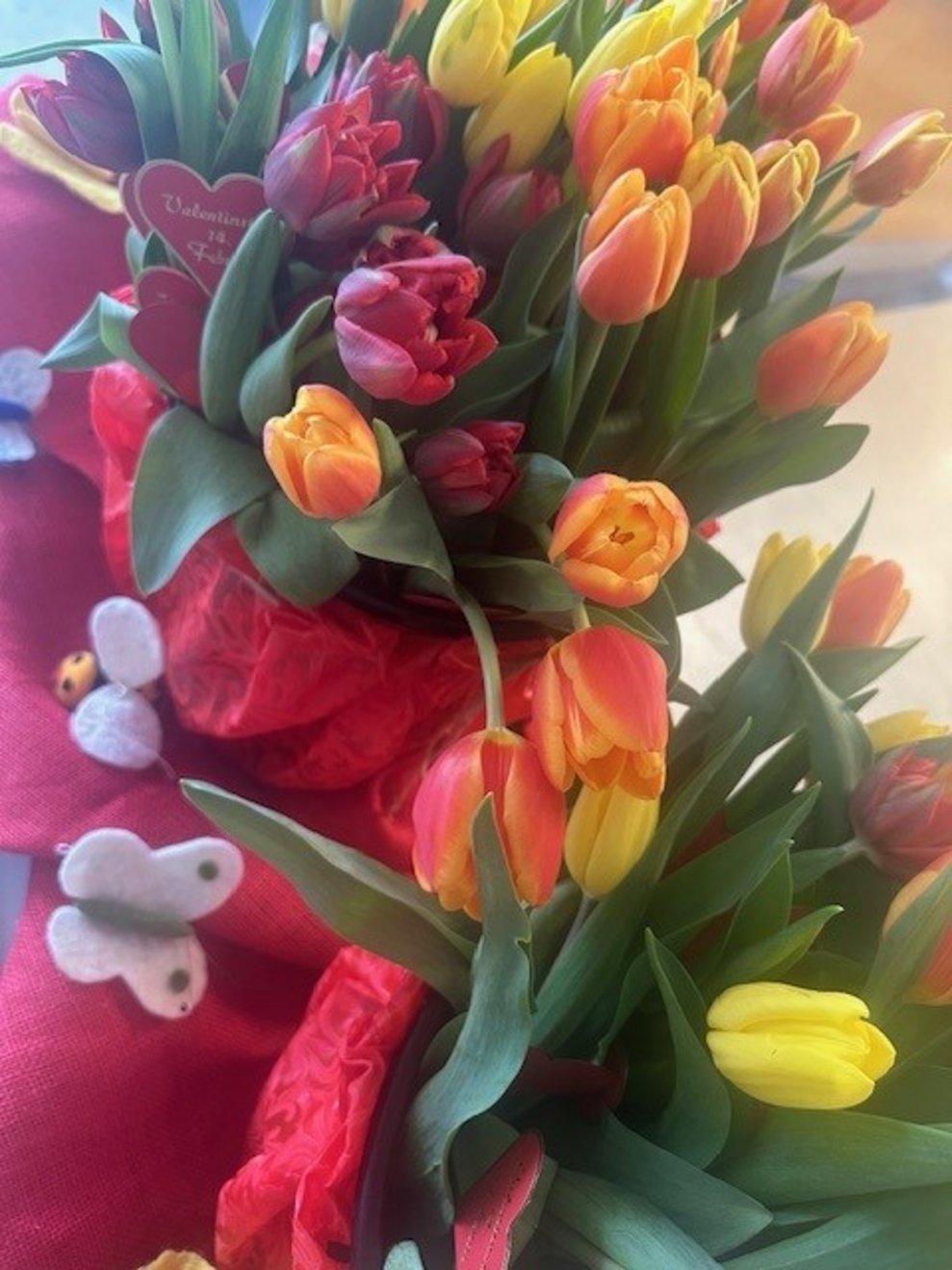 Tulpen für Alle