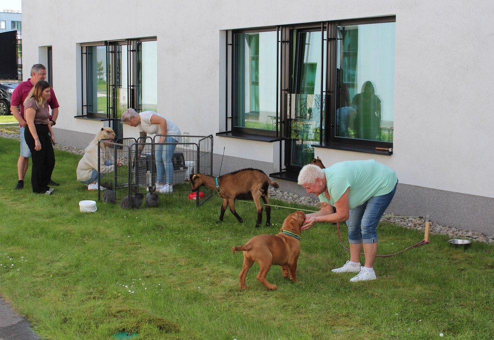 Nun ist auch schon der Welpe eingetroffen und freut sich auf unzählige Streicheleinheiten.