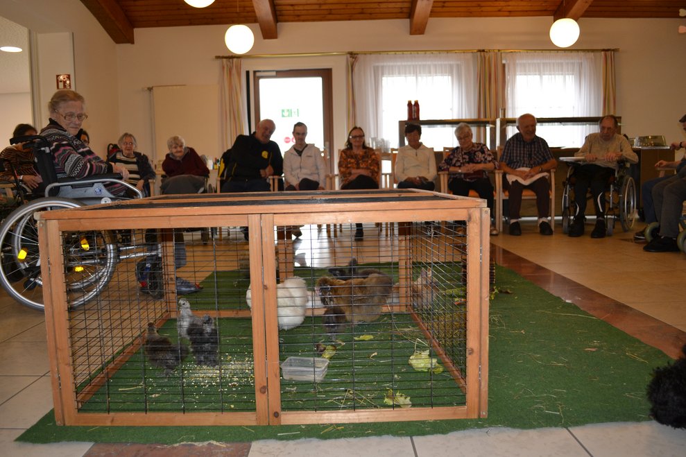 Tiere im Käfig