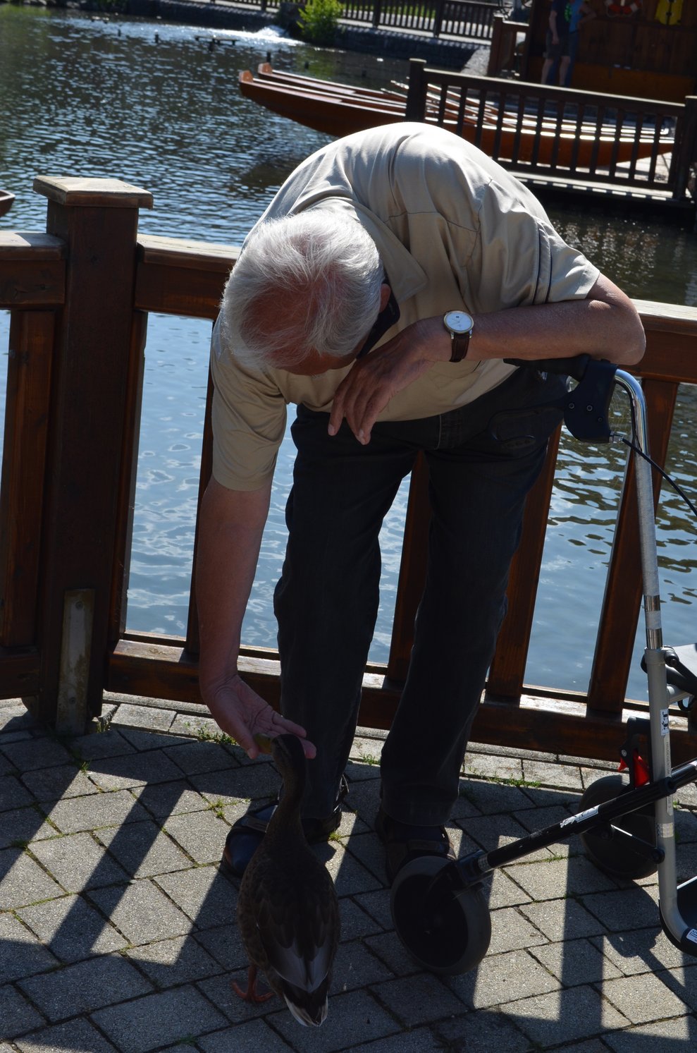 Auch ein Bewohner füttert die Ente.