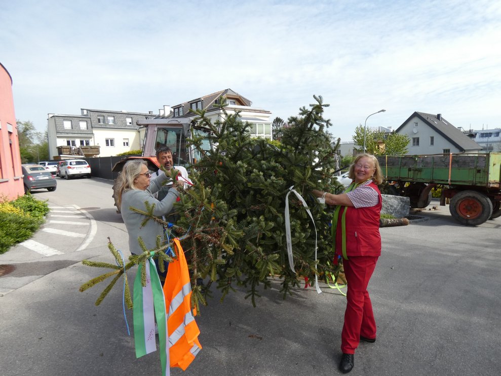 Maibaum