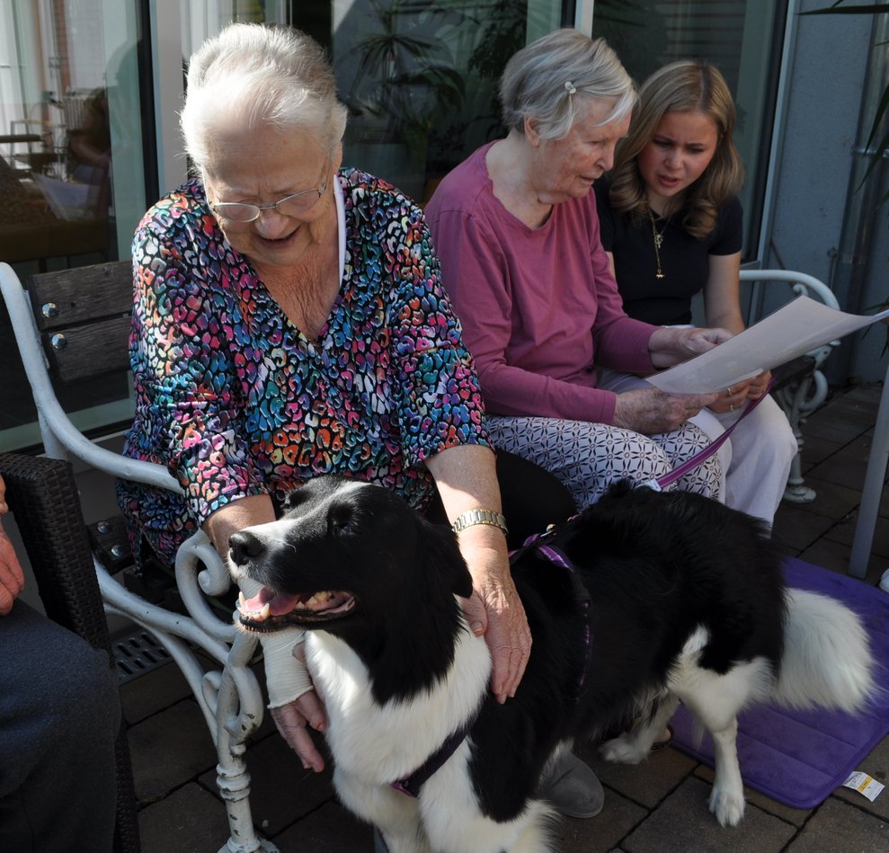 eine ältere Dame streichelt einen Hund