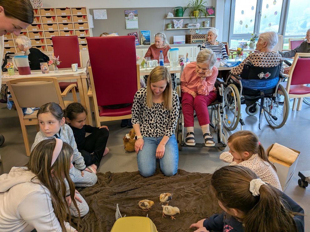 Einige Personen sitzen um eine Decke mit Küken herum.