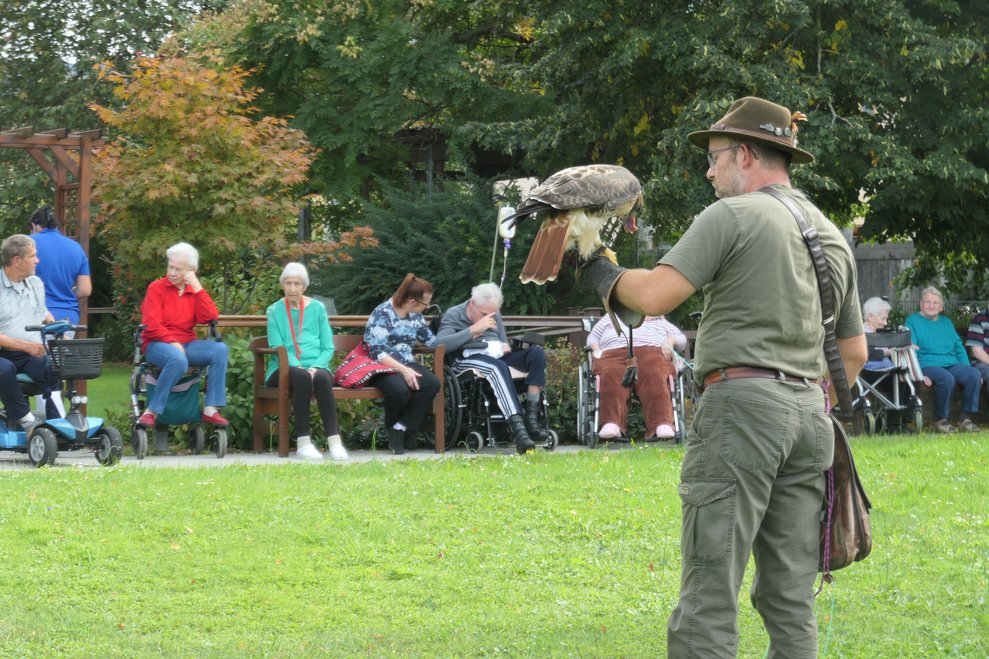 Ein Falke, samt Falkner auf der Wiese.