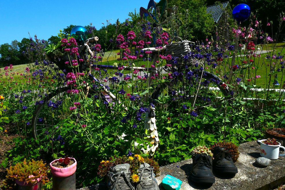 Ein Fahrrad steht zur Dekoration in violetten Blumen.
