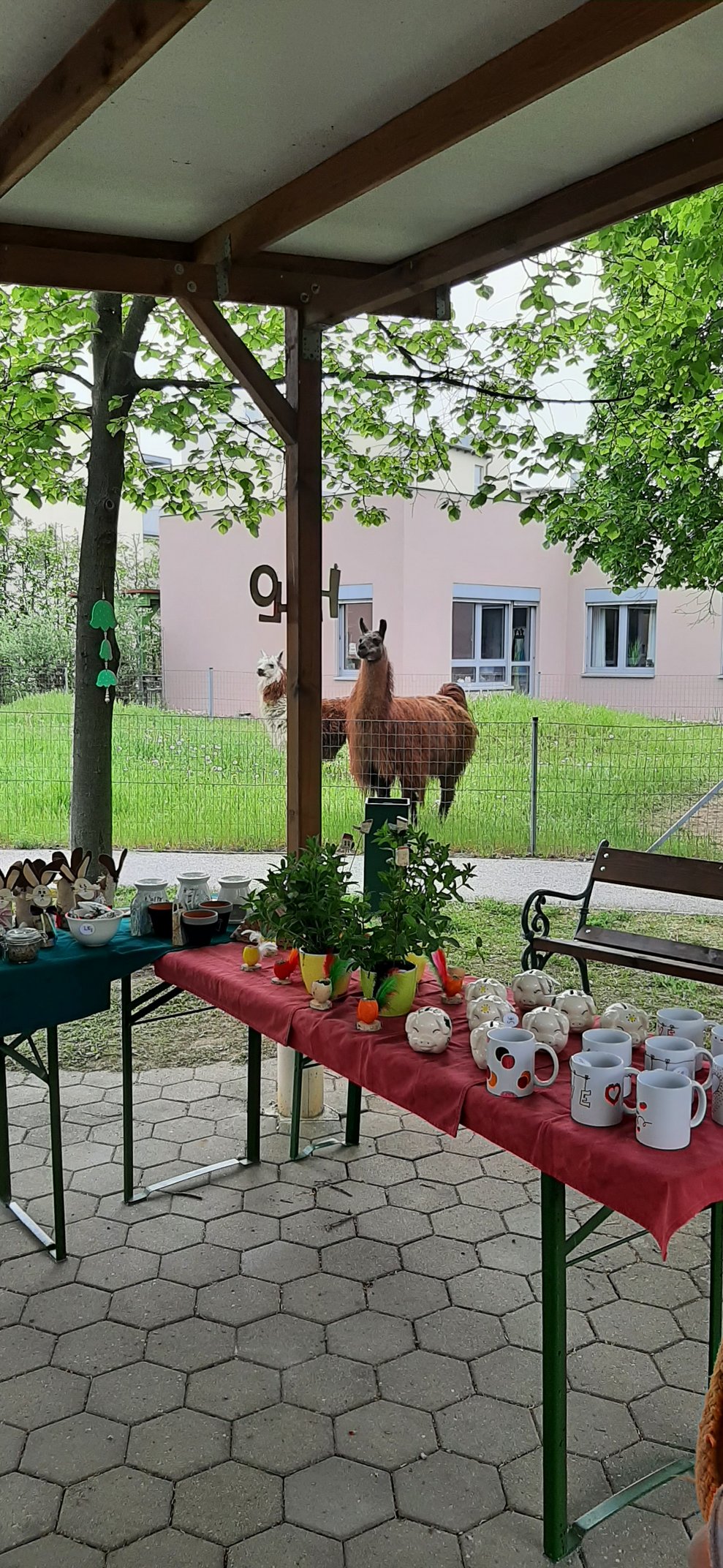 Schöne Dinge