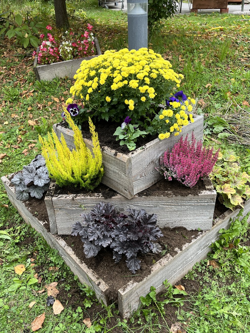 Herbstblumen