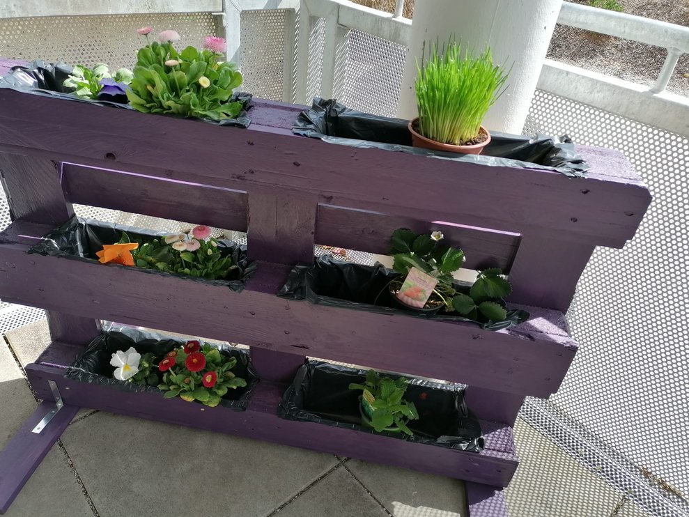 Kräuter- und Blumenhochbeet