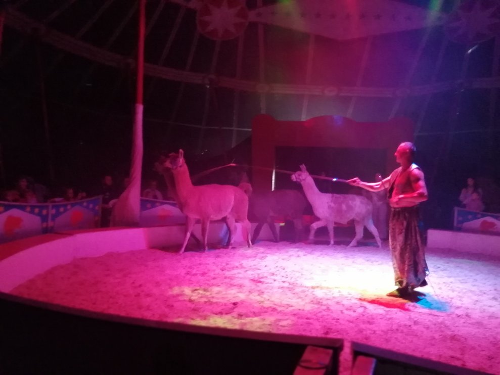 Zirkus