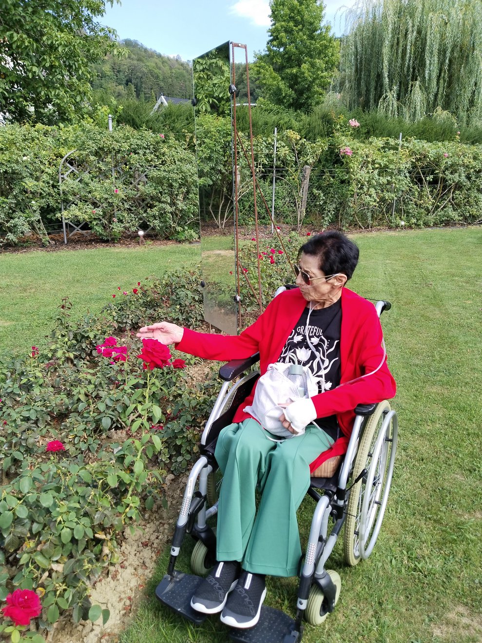 Eine Dame bestaunt eine Rose!
