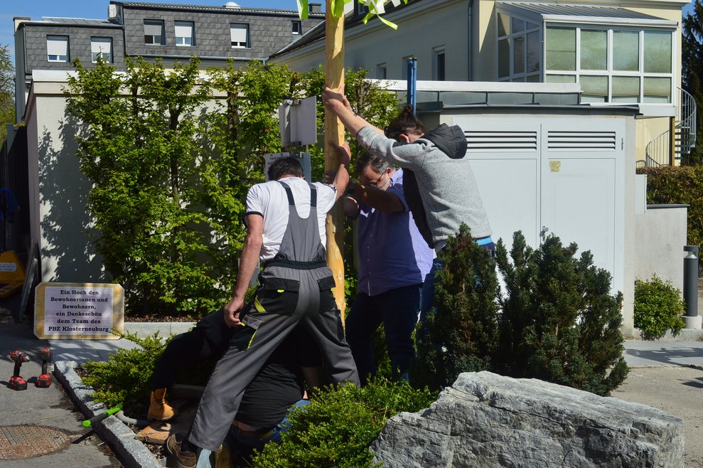 Maibaum wird aufgestellt.