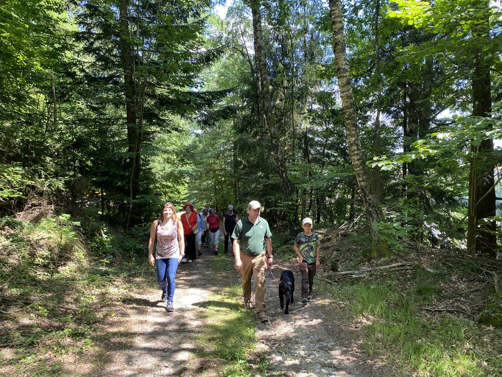 Die Wanderung führt durch den Wald...