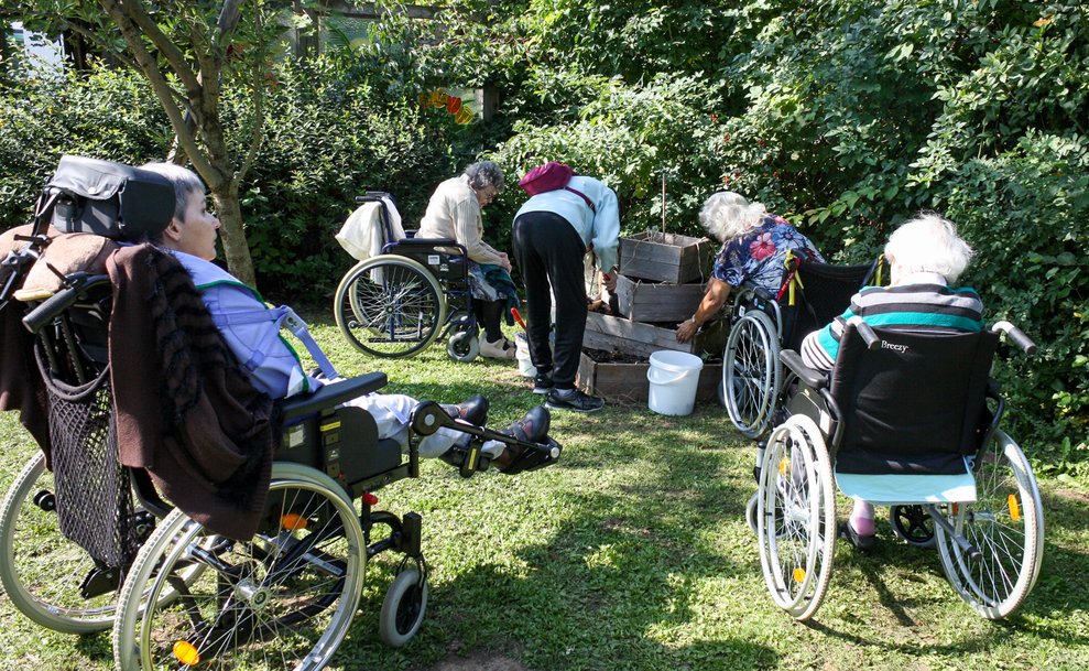 alle fleissig bei der Ernte