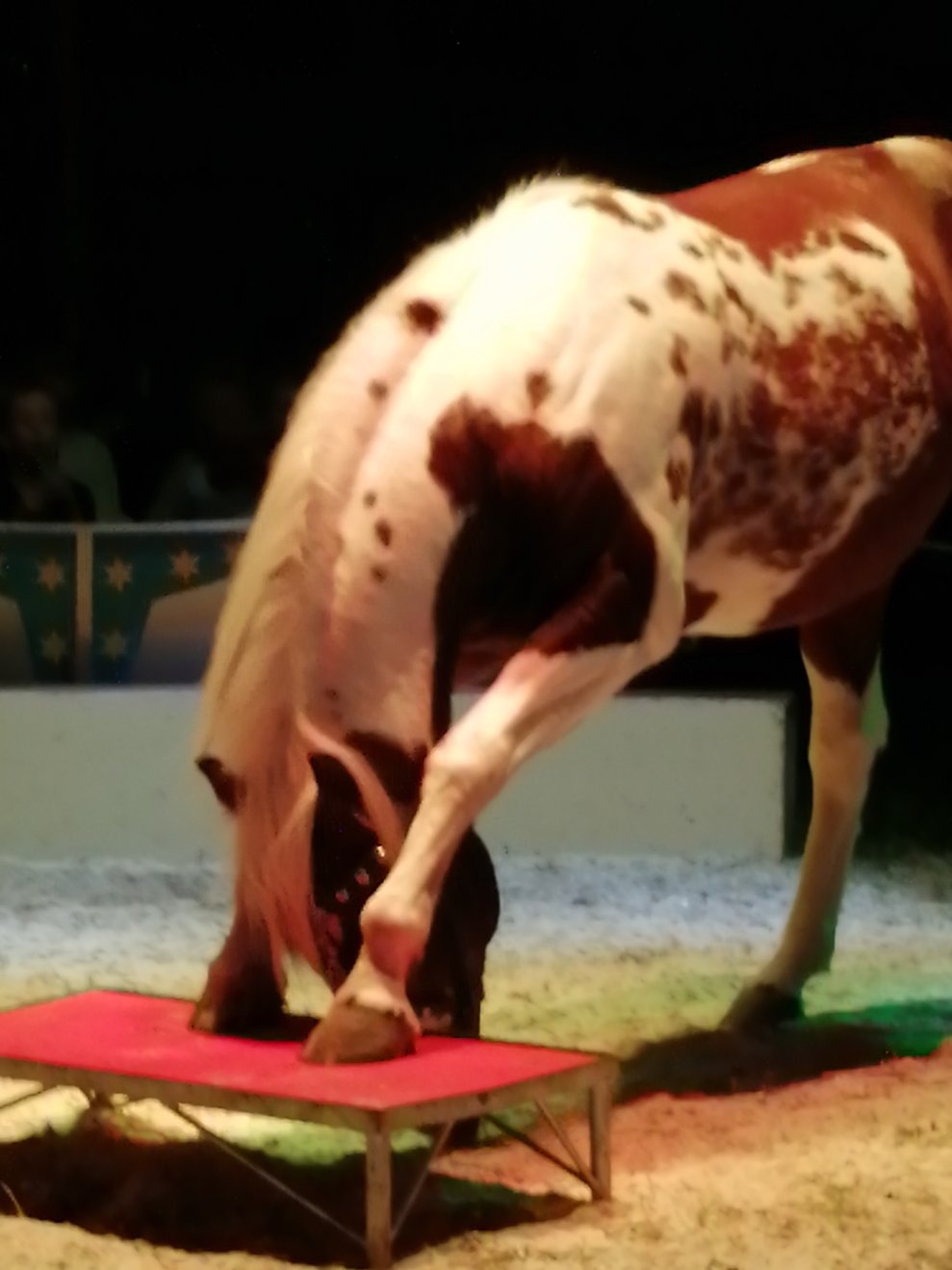 Zirkus