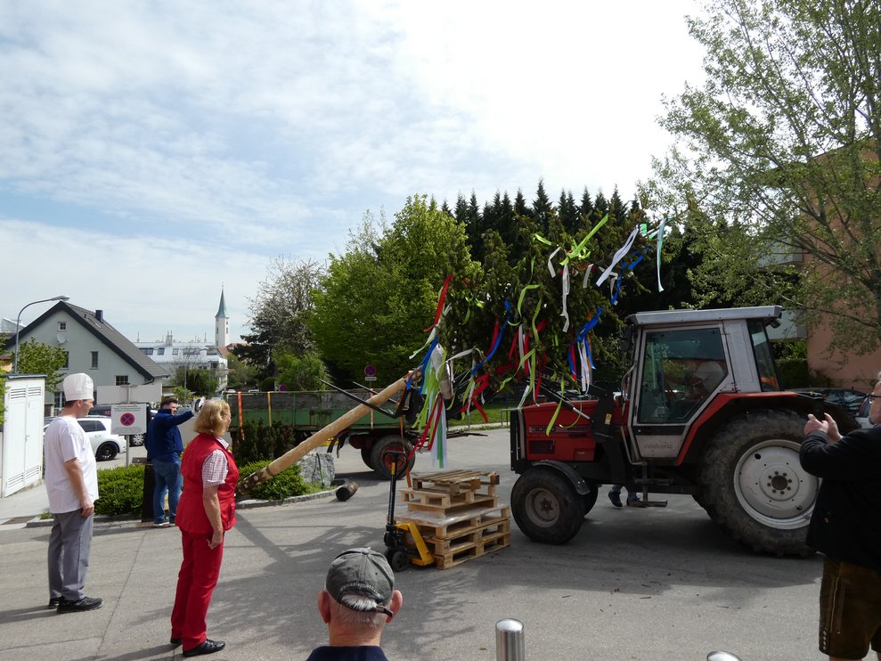 Maibaum